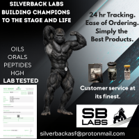 SB Labs SB Labs